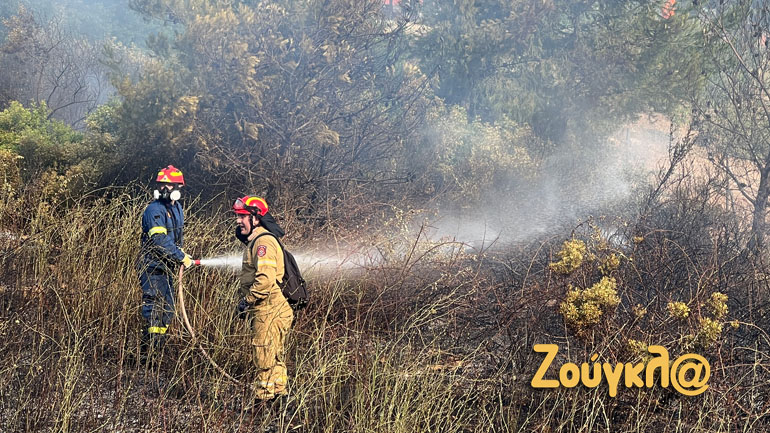 Πυρκαγιά σε οικοπεδικό χώρο στην Παλλήνη